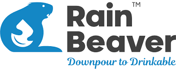 Brand Name Create an Enticing Logo Display Website.